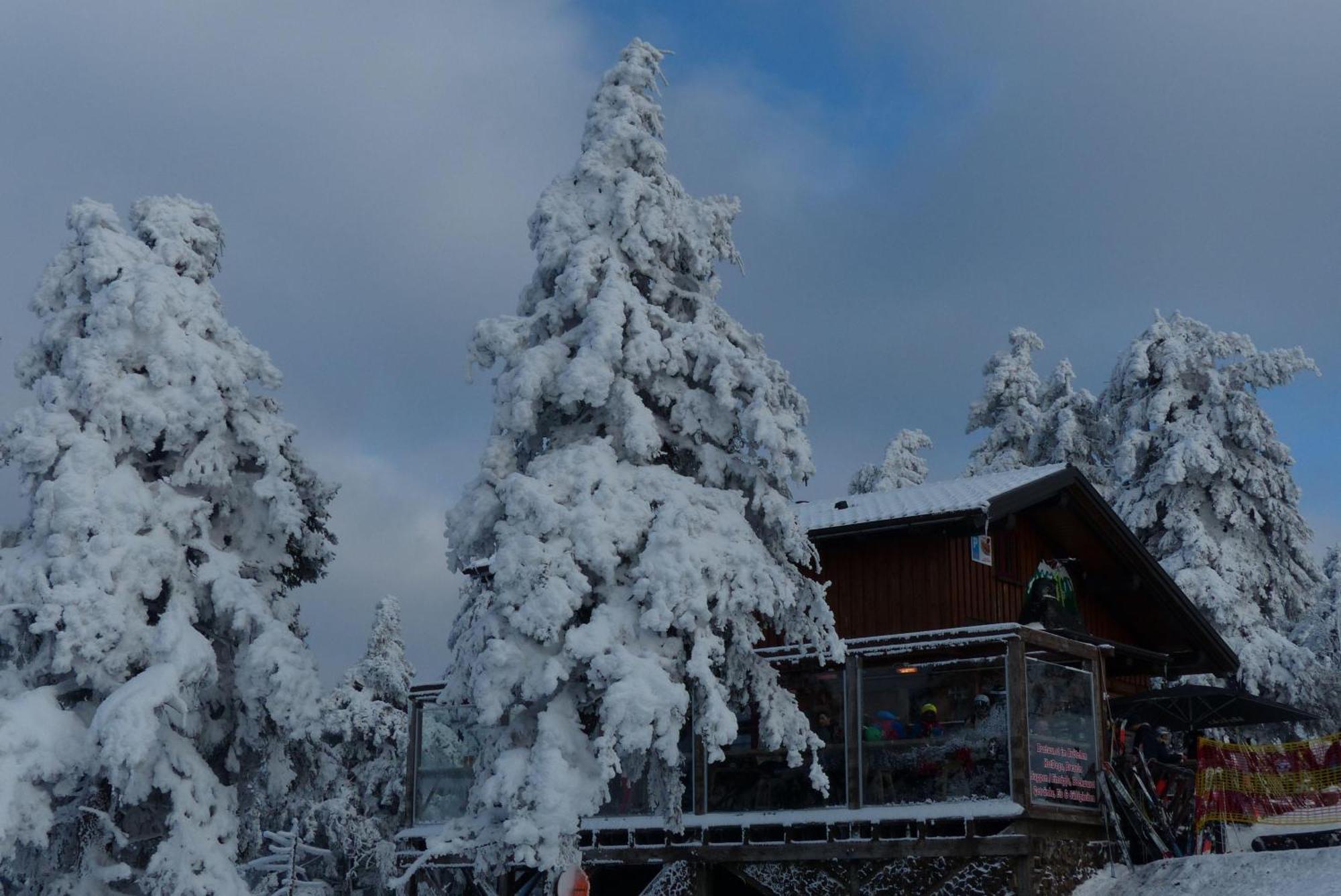 Ferienresidenz An Der Bode, Wohnung 1 Braunlage Bagian luar foto