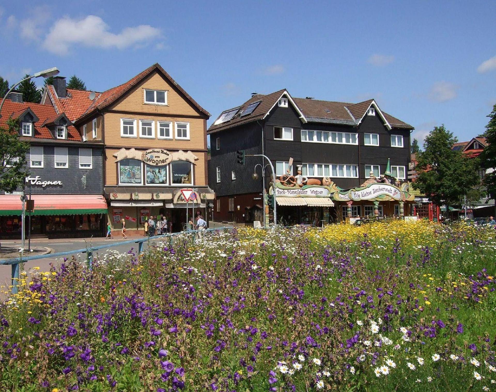 Ferienresidenz An Der Bode, Wohnung 1 Braunlage Bagian luar foto